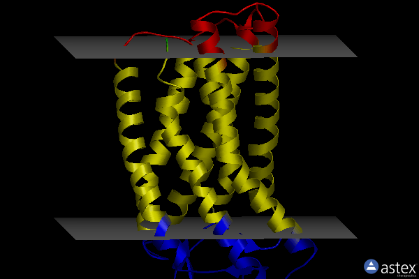 Membrane view of 8k5c