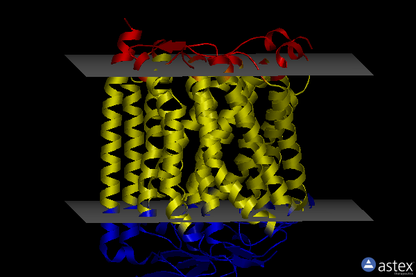 Membrane view of 8k65