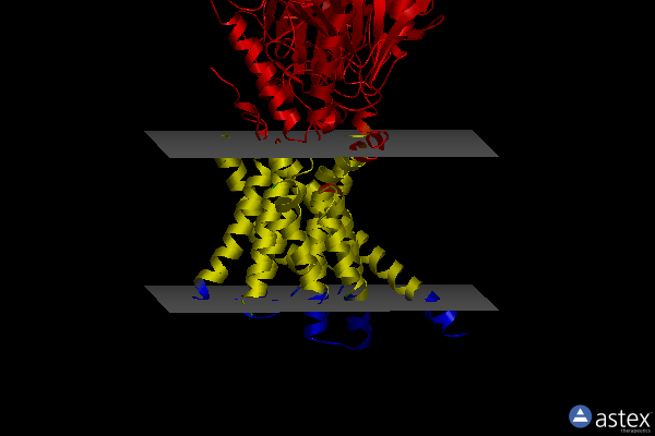 Membrane view of 8k9q