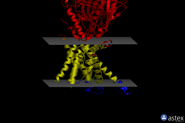 Membrane view of 8k9r