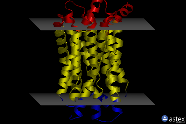 Membrane view of 8kae