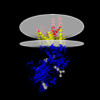 Membrane view of 8kcu