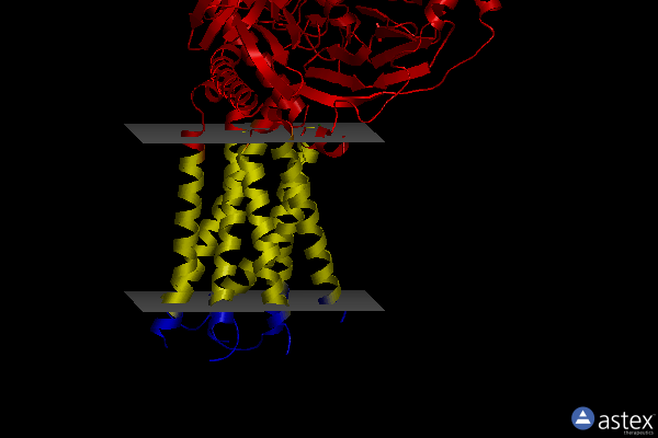 Membrane view of 8kgk