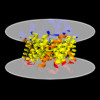 Membrane view of 8ofx