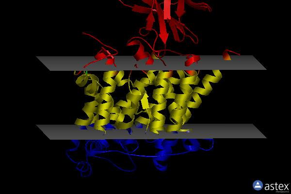Membrane view of 8omz