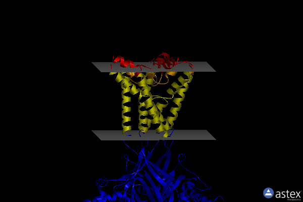 Membrane view of 8on7