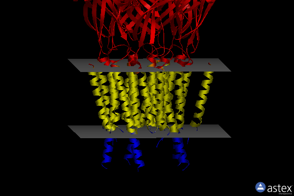 Membrane view of 8oq6