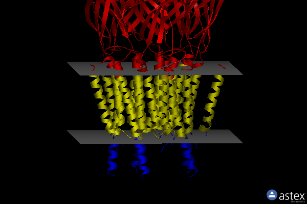 Membrane view of 8oqa