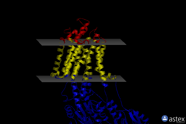 Membrane view of 8owl