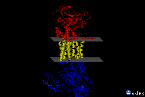Membrane view of 8ox9