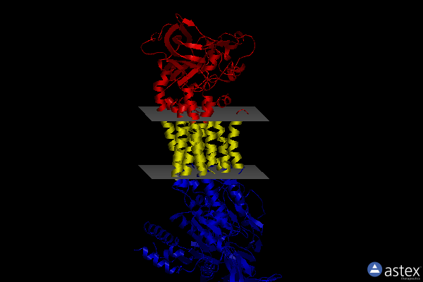 Membrane view of 8oxb