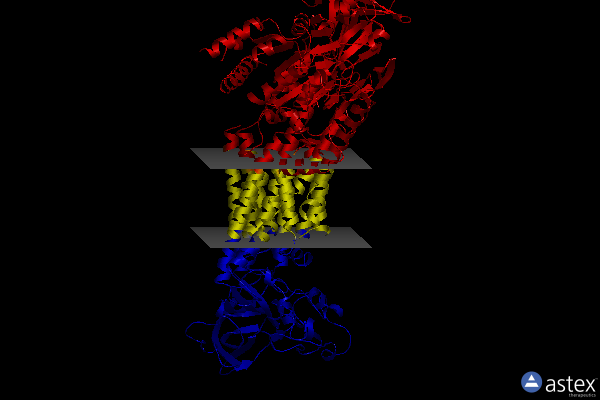 Membrane view of 8oxc