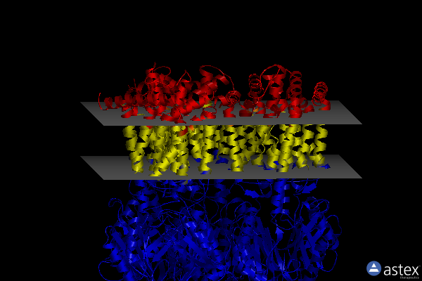 Membrane view of 8p1i