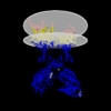 Membrane view of 8p31