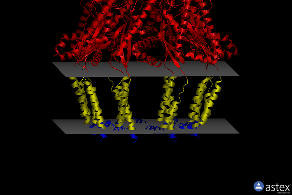 Membrane view of 8p3o