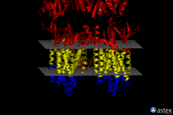 Membrane view of 8p3t