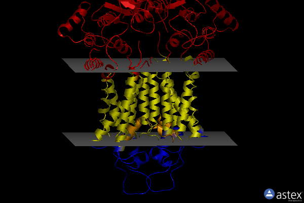 Membrane view of 8p8j