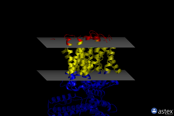 Membrane view of 8pd7