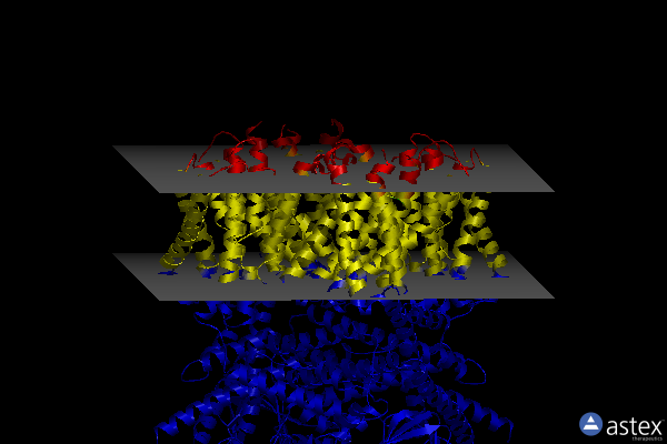 Membrane view of 8pd8