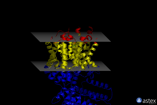 Membrane view of 8pd9