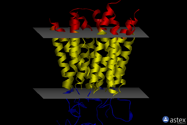 Membrane view of 8phw