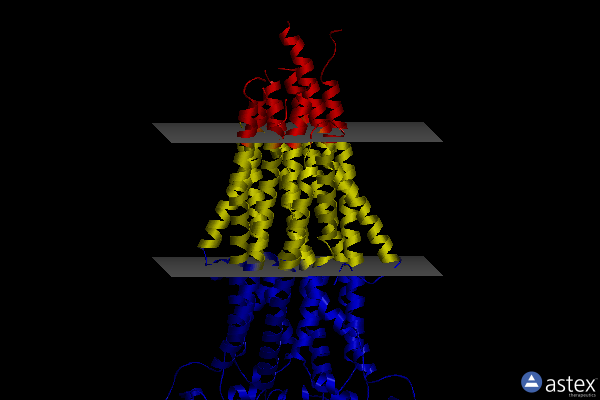Membrane view of 8pmd