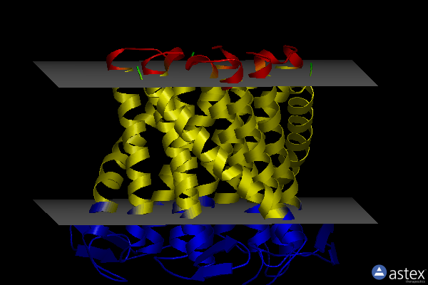 Membrane view of 8pnv