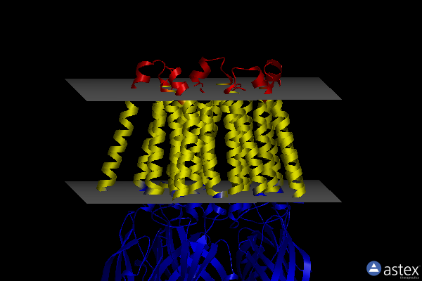 Membrane view of 8pvb