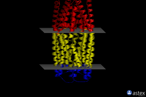 Membrane view of 8px9