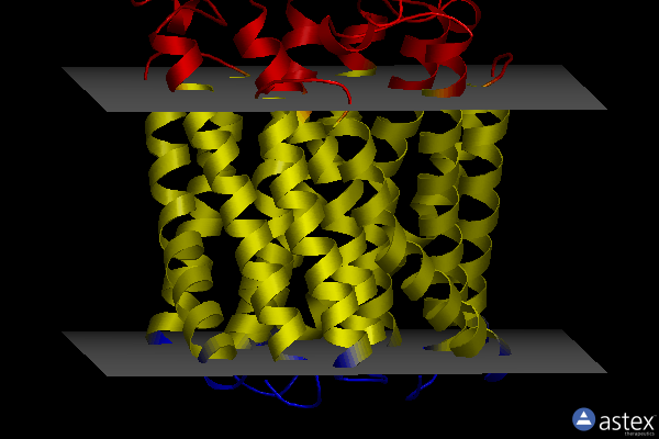 Membrane view of 8pyv