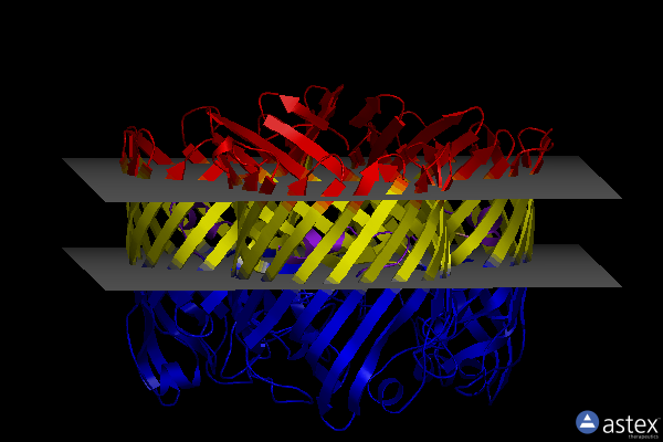 Membrane view of 8pyz