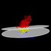 Membrane view of 8q25
