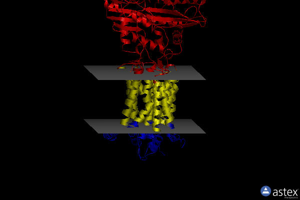 Membrane view of 8qed