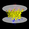 Membrane view of 8qj4
