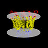 Membrane view of 8qoj