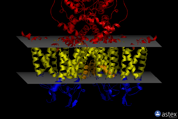 Membrane view of 8qud