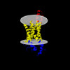 Membrane view of 8qw4
