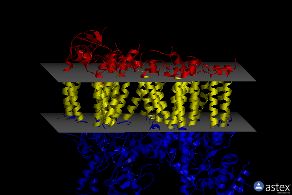 Membrane view of 8r2i