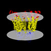 Membrane view of 8r7q