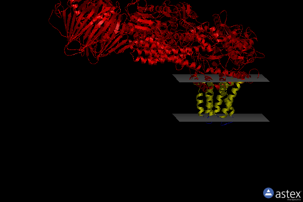 Membrane view of 8rfg