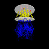 Membrane view of 8rh8