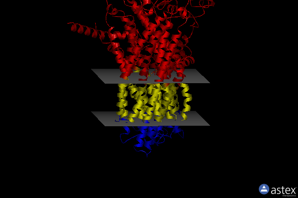 Membrane view of 8rq4