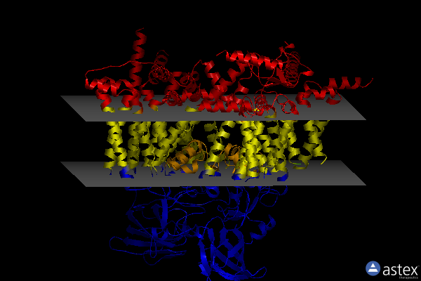 Membrane view of 8s9c
