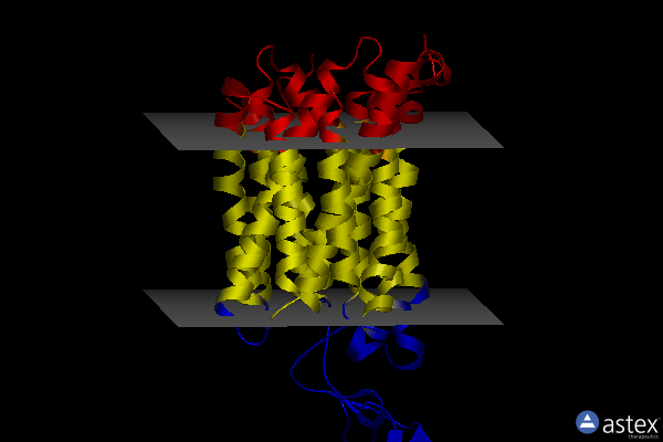 Membrane view of 8sc2