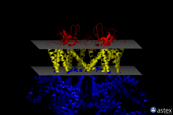 Membrane view of 8sew