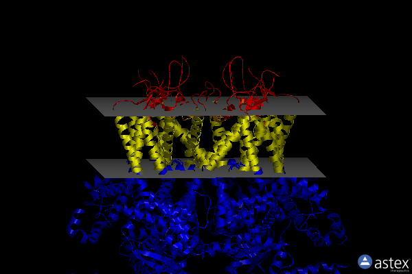 Membrane view of 8sez