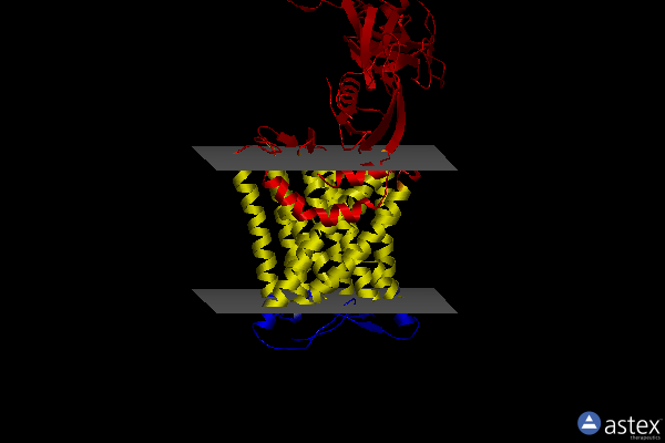 8sgj