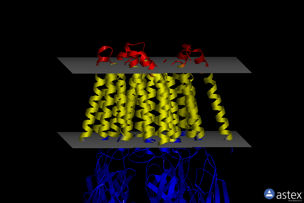 Membrane view of 8sgo