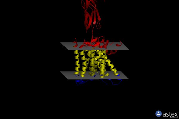 Membrane view of 8sgt