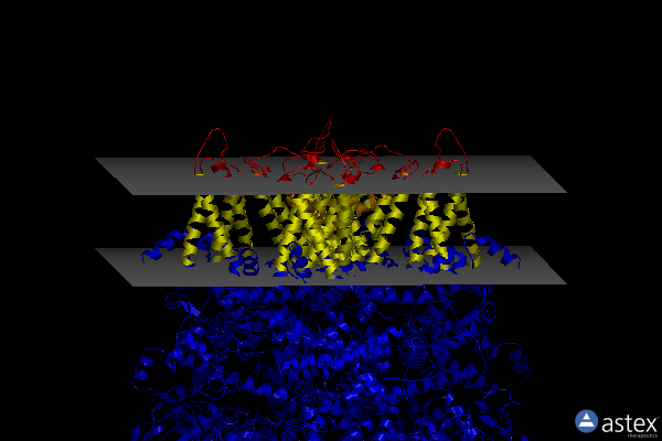 Membrane view of 8si3